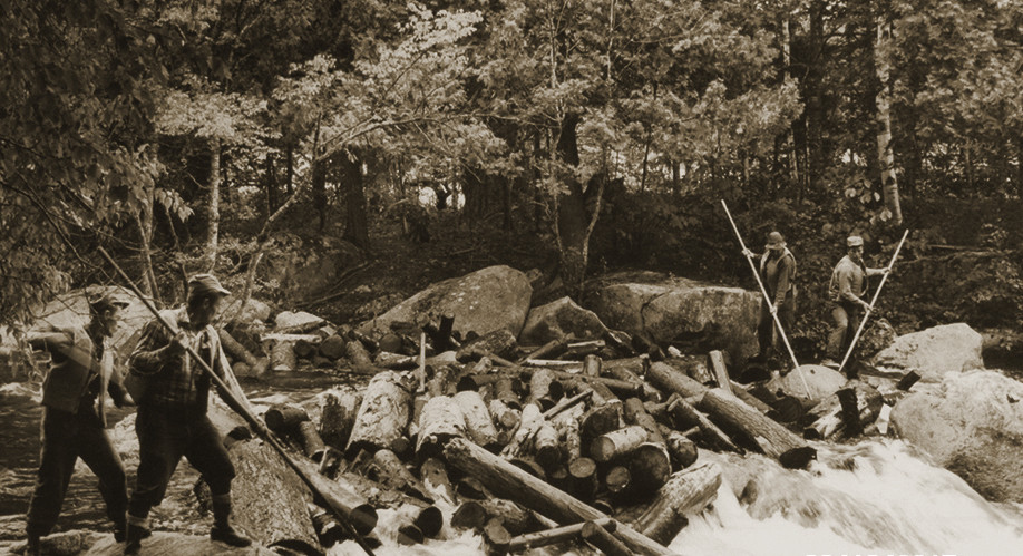 Maine Logging History | Maine Logging, Timber Harvesting, and Forest ...