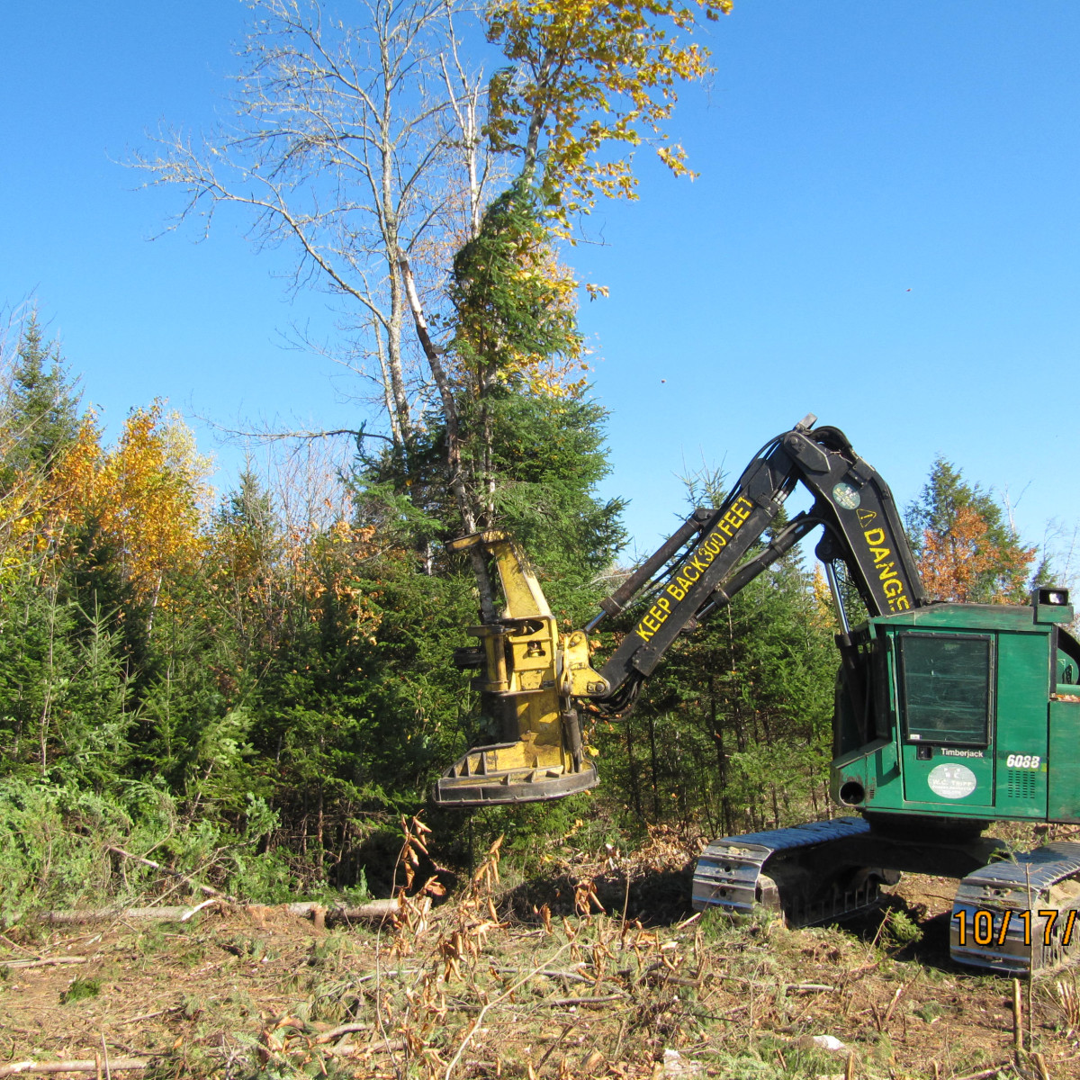 gallery-maine-logging-timber-harvesting-and-forest-management