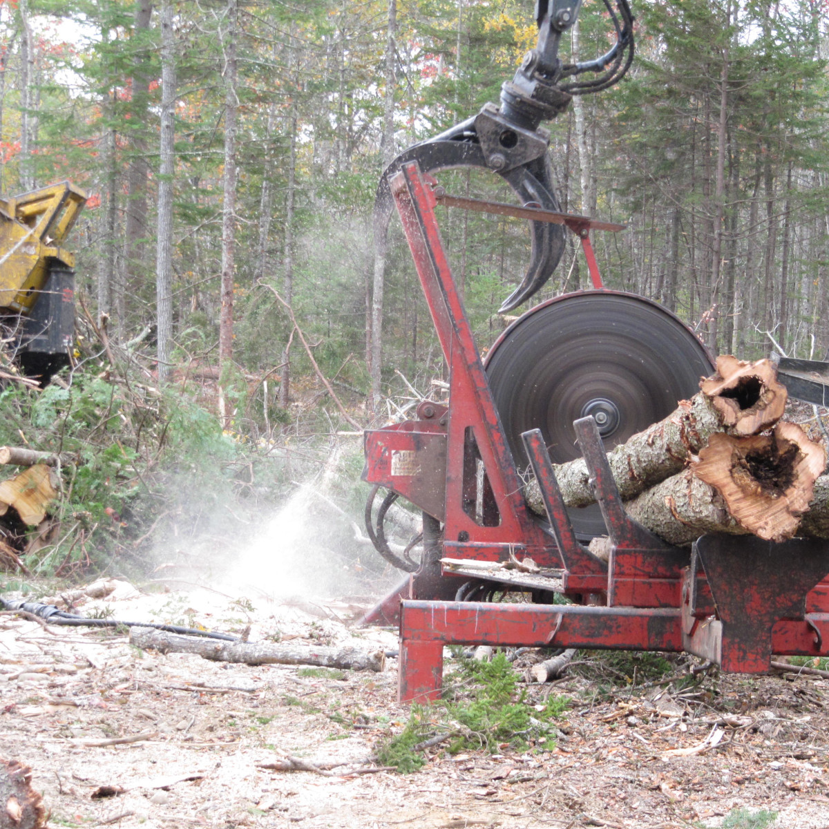 Gallery Maine Logging, Timber Harvesting, and Forest Management