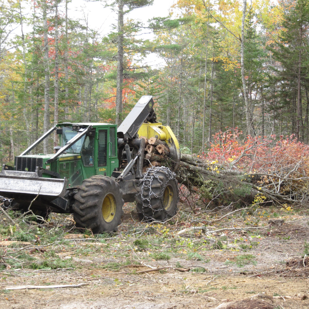 Grapple Skidder | Gallery | Maine Logging, Timber Harvesting, and ...