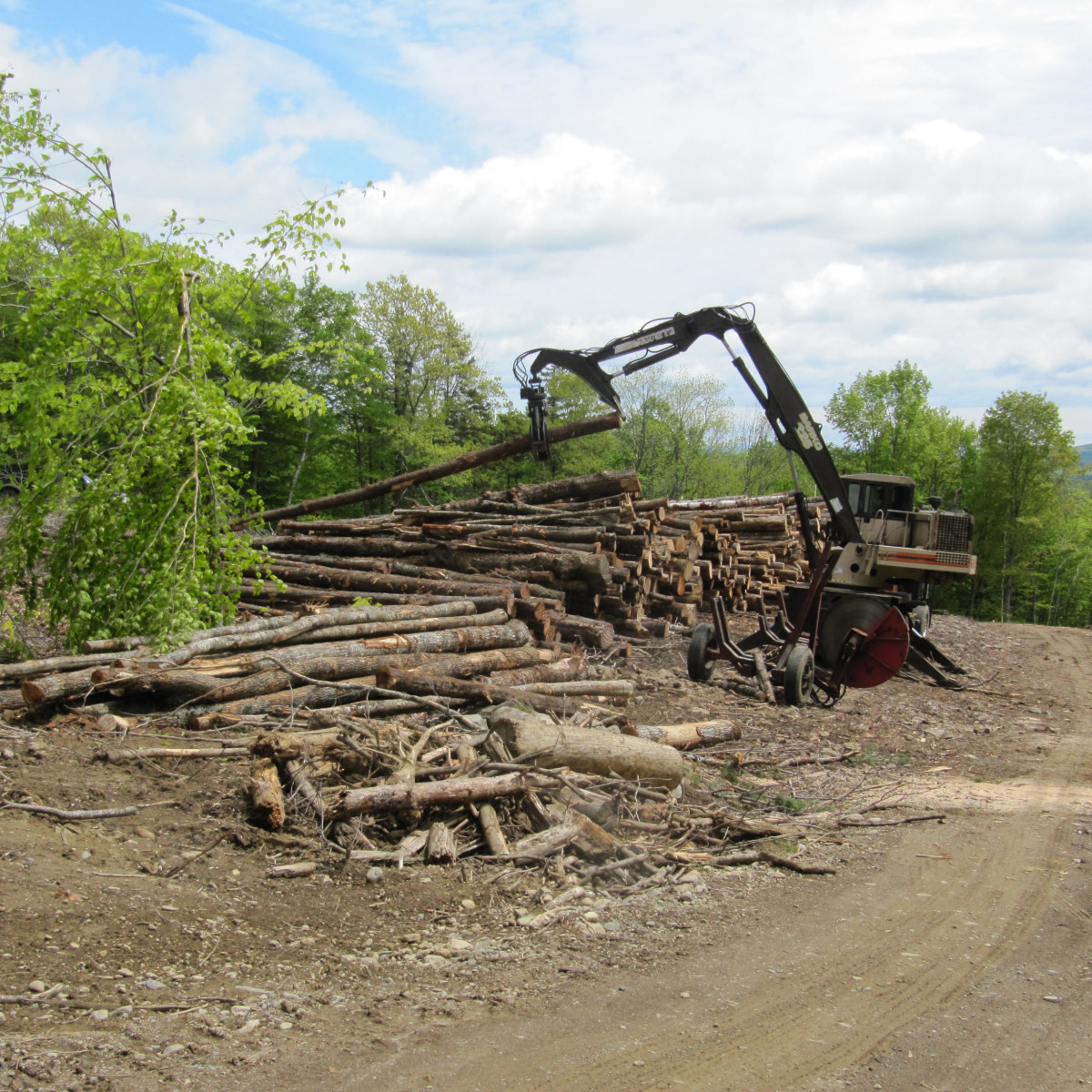 Our Work Maine Logging, Timber Harvesting, and Forest Management