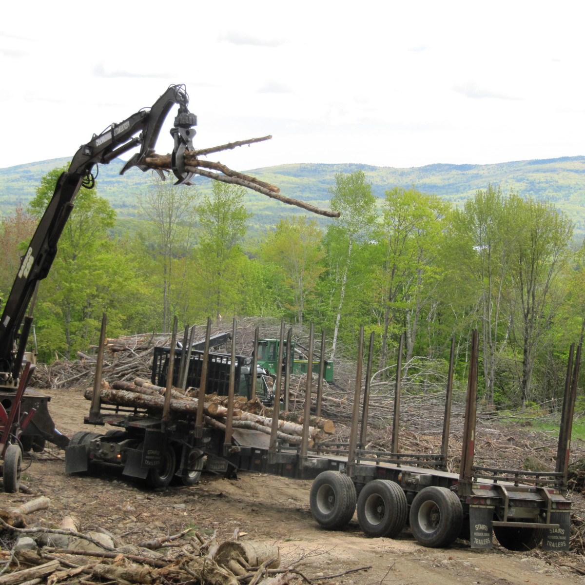 Our Work Maine Logging, Timber Harvesting, and Forest Management